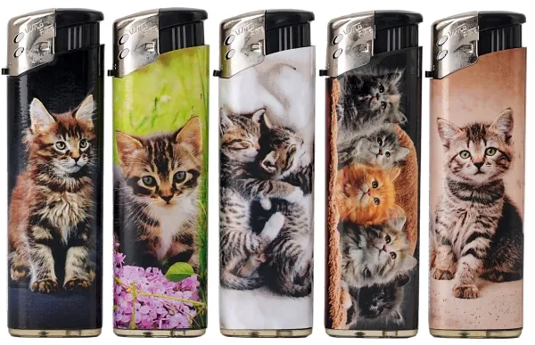 Elektronikfeuerzeug Katzen